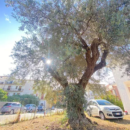 Nonna Pina Appartement Cipollina
